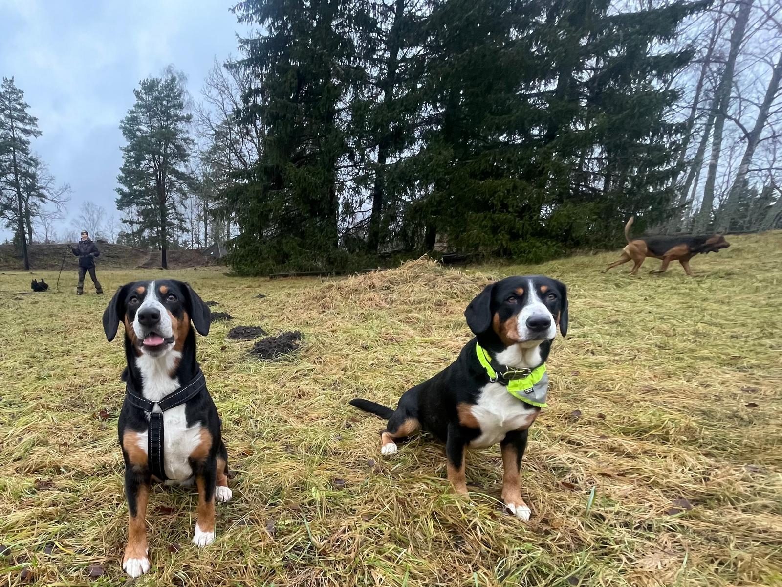 Mai ja K9 Hera